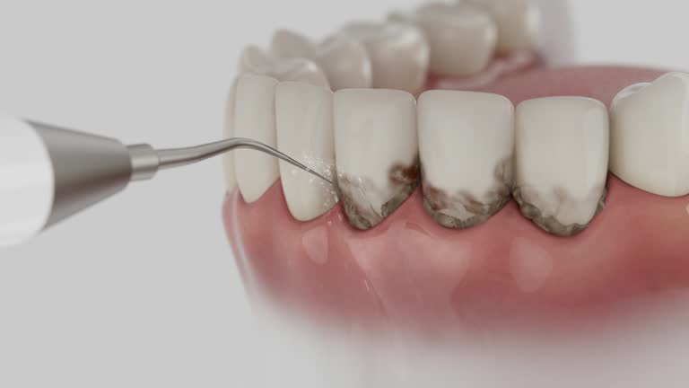 Reliable Dental contractor in Groveland, ID by Dentist Open Now
